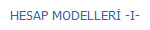 HESAP MODELLER -I-