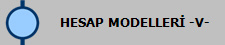 HESAP MODELLER -V-