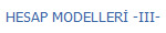 HESAP MODELLER -III-