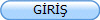 GİRİŞ